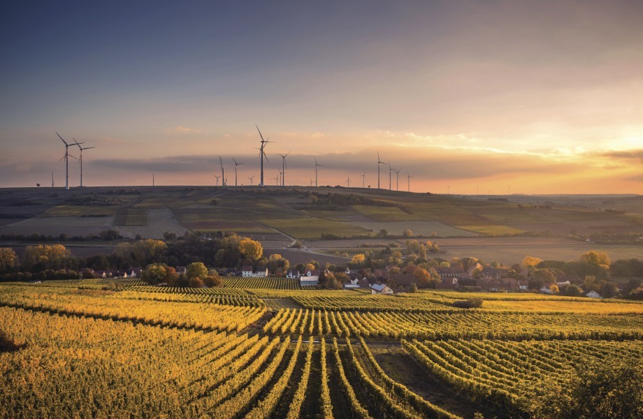 Rows of crops in a valley at sunset. Rangées de cultures dans une vallée au coucher du soleil.